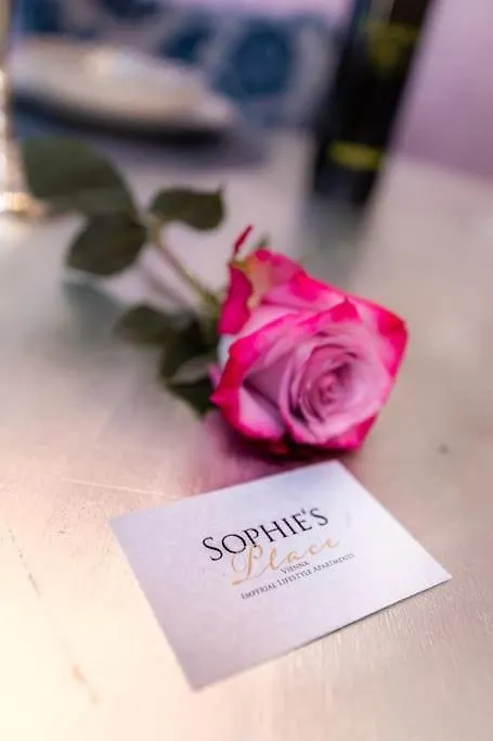 Sophie'S Place Augarten - Lifestyle City Apartments Vienna Parking Austria